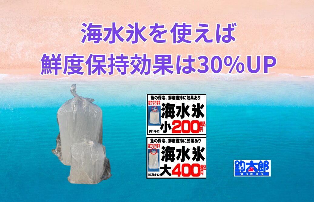 鮮度保持効果は最大30％以上の差！釣った魚を最高の状態で持ち帰りたいなら、海水氷の使用は非常に効果的です。 特に遠征釣行や高級魚を狙う場合は、鮮度保持の差がそのまま味や価値に直結します。釣太郎
