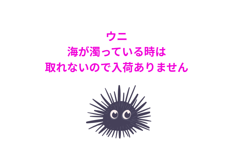 ウニは、海が濁っている時は取れないので入荷ありません。釣太郎