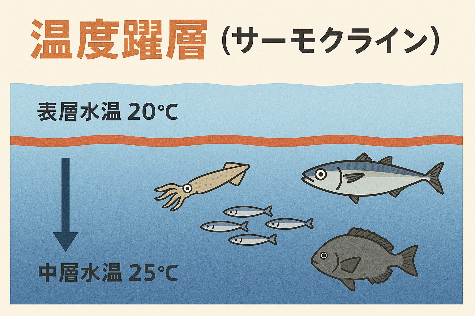 秋の海は、表層冷却による温度差が魚の活性を高める「釣り人に有利な季節」です。釣太郎