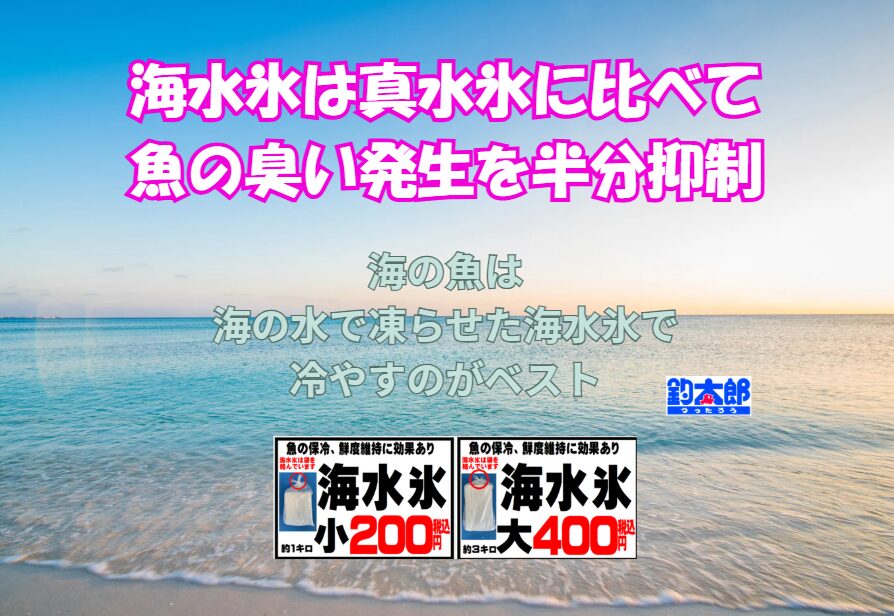魚の臭いの元はトリメチルアミン。これを抑えるには、釣った直後に温度を一気に下げる ・細菌繁殖を防ぐ・ドリップを出さない。だから海水氷が有効。釣太郎