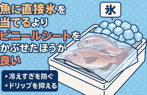 直接氷は「冷えすぎ」と「浸透圧ショック」がデメリット ・ビニールシートをかぶせるとドリップ防止と温度安定が可能。釣太郎