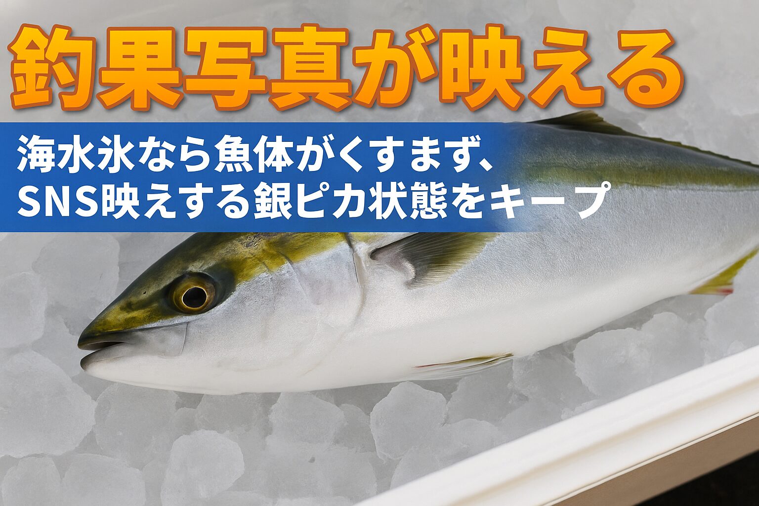 海水氷なら銀ピカ状態を長時間維持し、SNS映えする釣果写真が撮れる。釣太郎