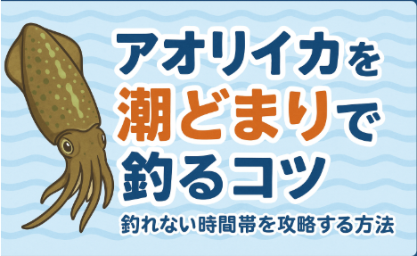 潮どまりは不利とされがちだが、アオリイカは行動している。藻場や地形変化を狙うことで居着きの個体を攻略できる。釣太郎