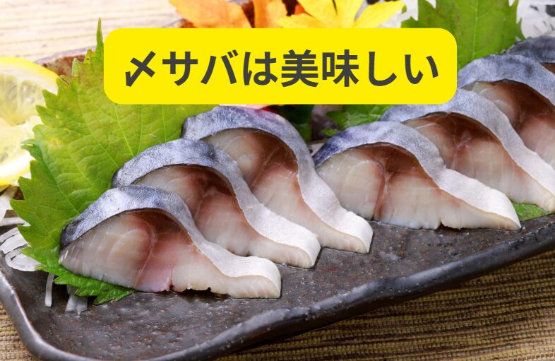 しめサバの美味しさは、塩による「旨味凝縮」と、酢による「食感と風味の向上」の賜物。【最重要】食酢ではアニサキスは死なない。過信は禁物。釣太郎