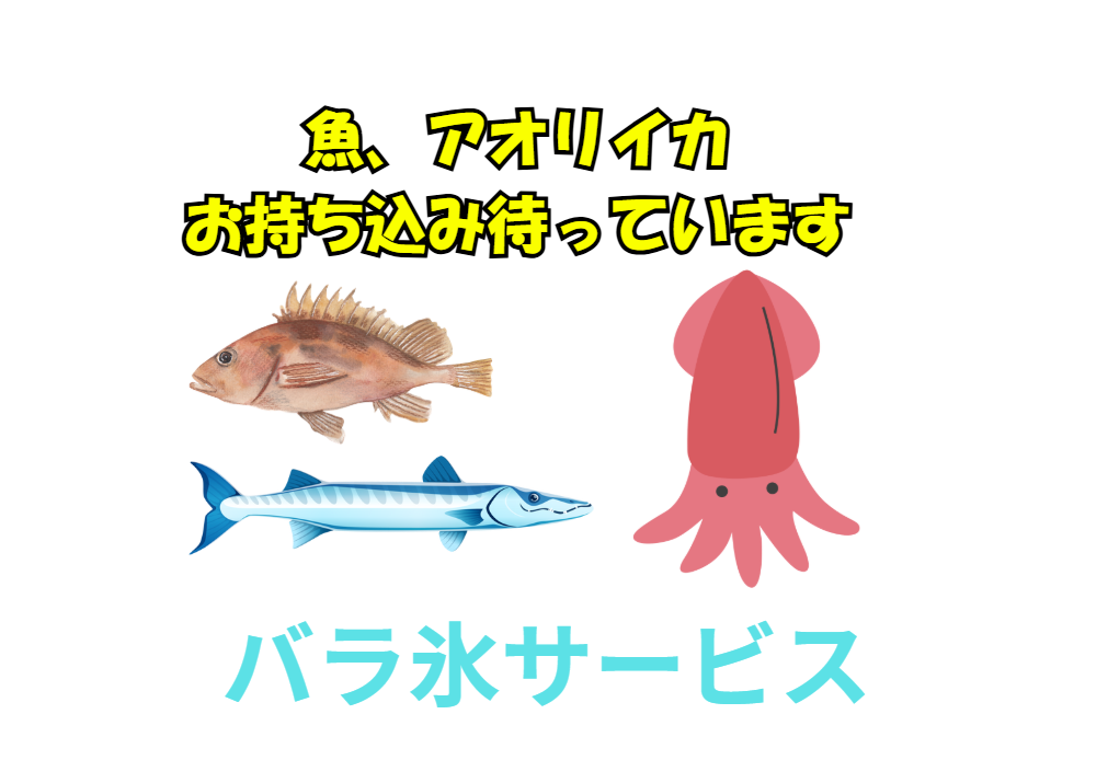 アオリイカ・魚釣果のお持ち込み大歓迎 バラ氷サービスで鮮度キープ。釣太郎