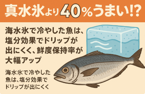海水氷を使うと・ドリップ流出約40％減・鮮度保持率20〜30％アップ・旨味保持率90％以上、真水氷よりも圧倒的に美味しく魚をキープできます。釣太郎