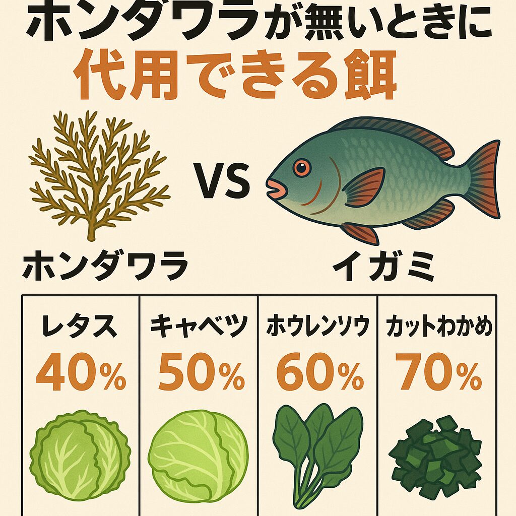 イガミ釣り|ホンダワラが無いときにレタス・キャベツ・ホウレンソウ・カットわかめ。釣太郎