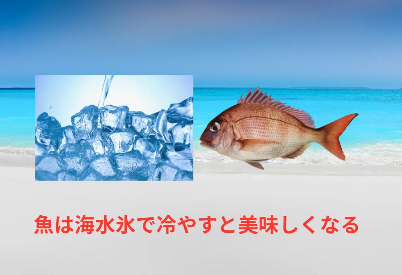 海水氷なら魚体に優しく、冷却力も高いため、プロ並みの鮮度保持が可能です。釣太郎