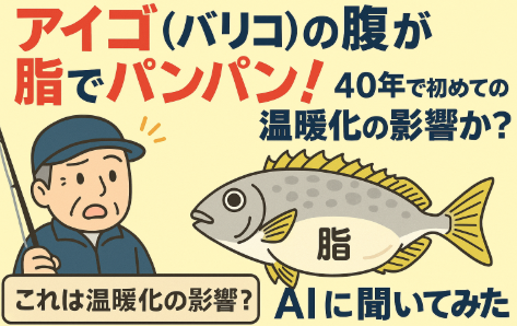 海水温のわずかな上昇が、アイゴの体脂肪を数％押し上げるだけで、 釣り人が体感できるほどの脂のりに変わる可能性があります。釣太郎