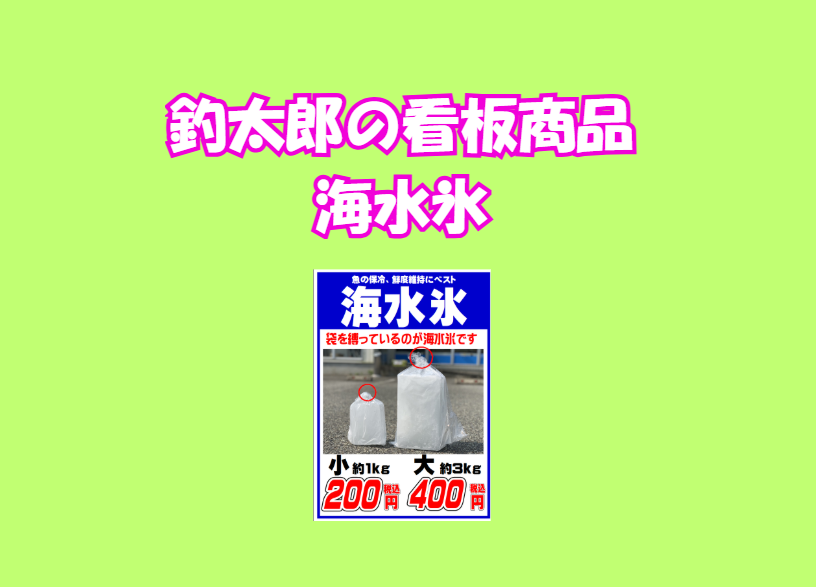 海水で作った海水氷は、塩分による低融点と浸透圧効果で、魚やアオリイカの鮮度を長時間維持。釣太郎