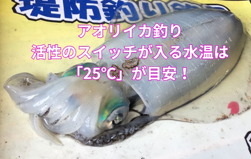 アオリイカが最も活発にエサを追い、捕食活動を行うとされる**適水温は18～25℃。釣太郎