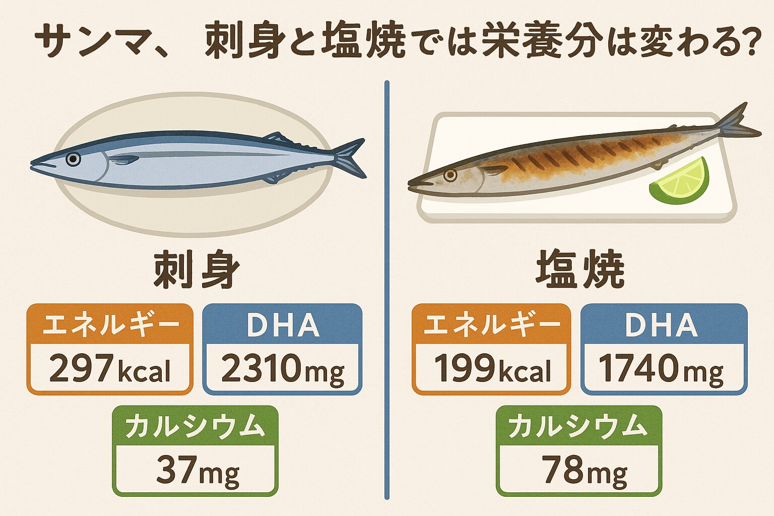 サンマ、刺身はDHA・EPAの保持率が高く、脳や血管の健康維持に効果的・塩焼きは脂質が減り、ビタミンDの吸収効率が上がる。釣太郎