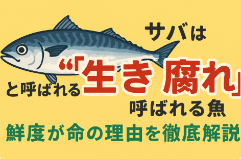サバが「生き腐れ」と呼ばれるのは、鮮度の落ちやすさが極端に早いから。釣太郎