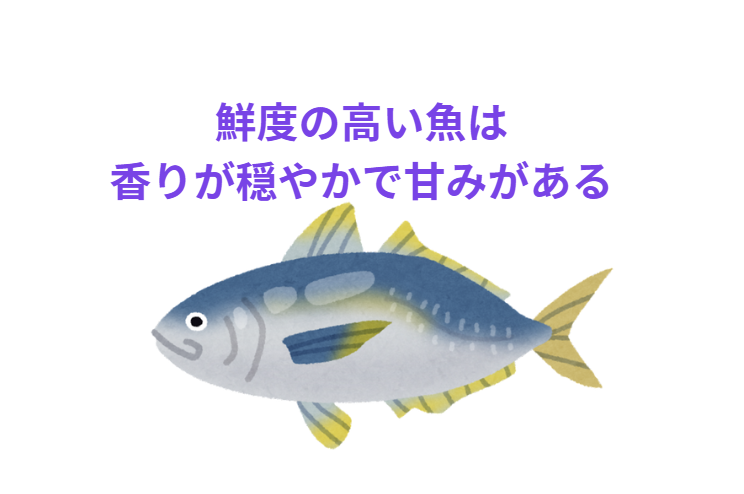 魚のニオイは鮮度のサイン──科学と釣り人が語る嗅覚の真実.釣太郎