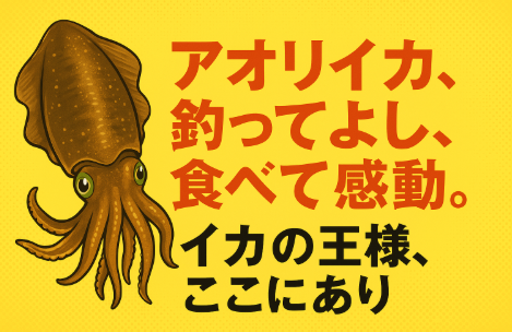 和歌山・南紀は黒潮の恵みを受け、アオリイカの好漁場として全国的に有名です。釣太郎