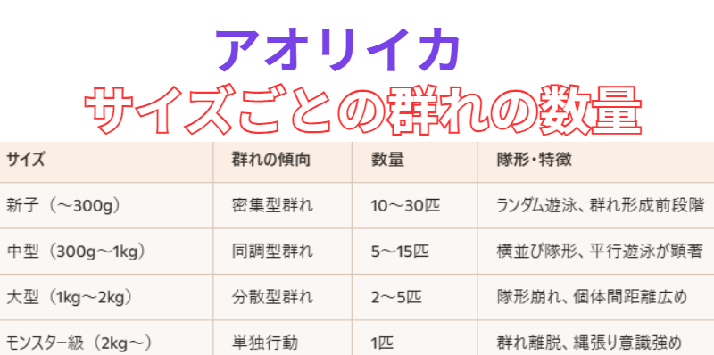 アオリイカの群れは、サイズによって構成数も行動も変化します。釣太郎