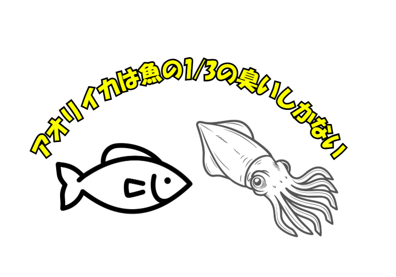 アオリイカは“匂わない”からこそ価値がある。魚類の約1/3〜1/5の匂い成分。釣太郎
