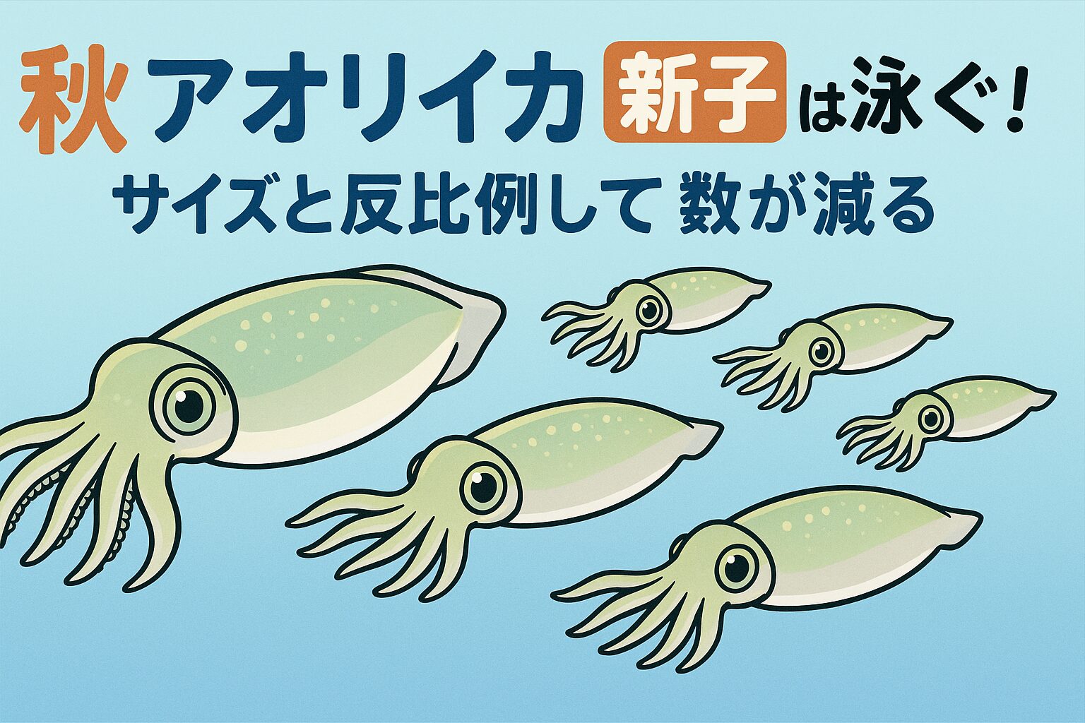 秋のアオリイカ（新子）は群れで泳ぐ！その数は？釣太郎