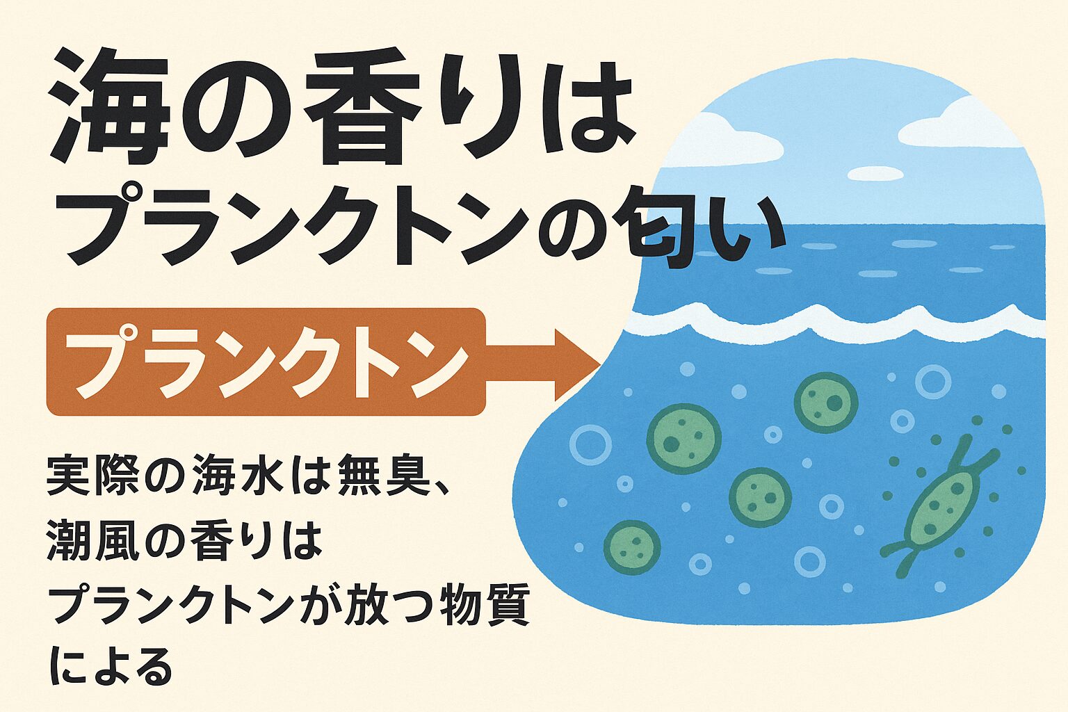 「海の香り」の正体は、海水ではなくプランクトンが生み出すジメチルスルフィド。釣太郎