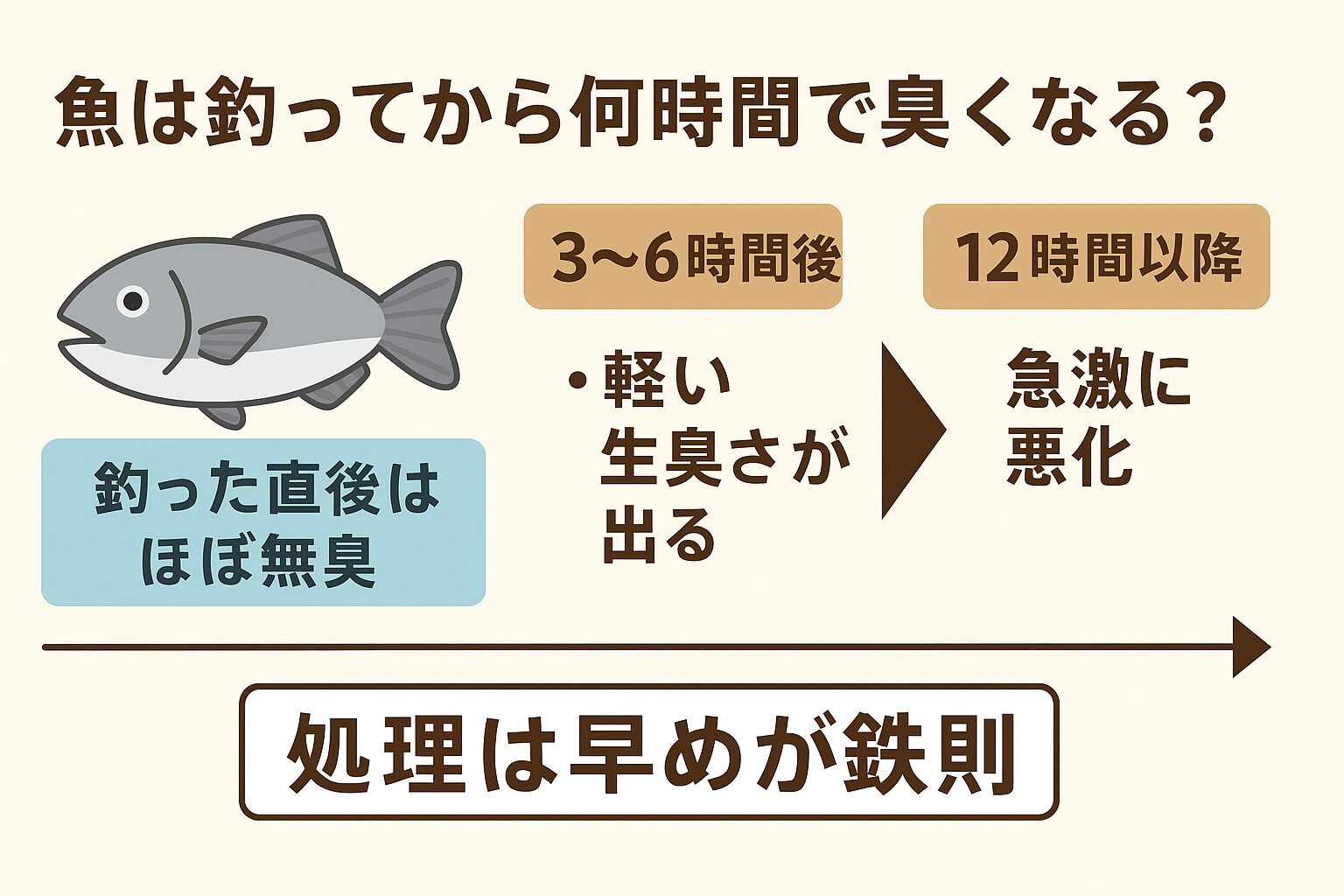 魚は釣ってから、3〜6時間後に軽い生臭さが出始めます。釣太郎