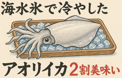 釣り人にとって、せっかく釣ったアオリイカを最高の状態で持ち帰るためには、海水氷の準備が釣果と同じくらい重要。釣太郎