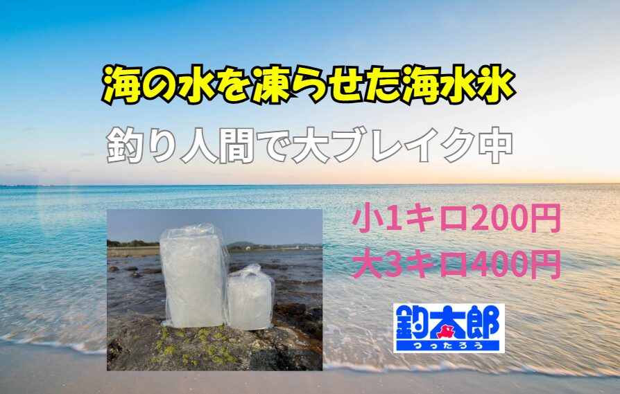 海水氷は単なる“海水を凍らせただけ”ではありません。塩分・冷却力・自然環境の三要素が組み合わさり、魚の旨味を極限まで守る最強の冷却アイテム。釣太郎