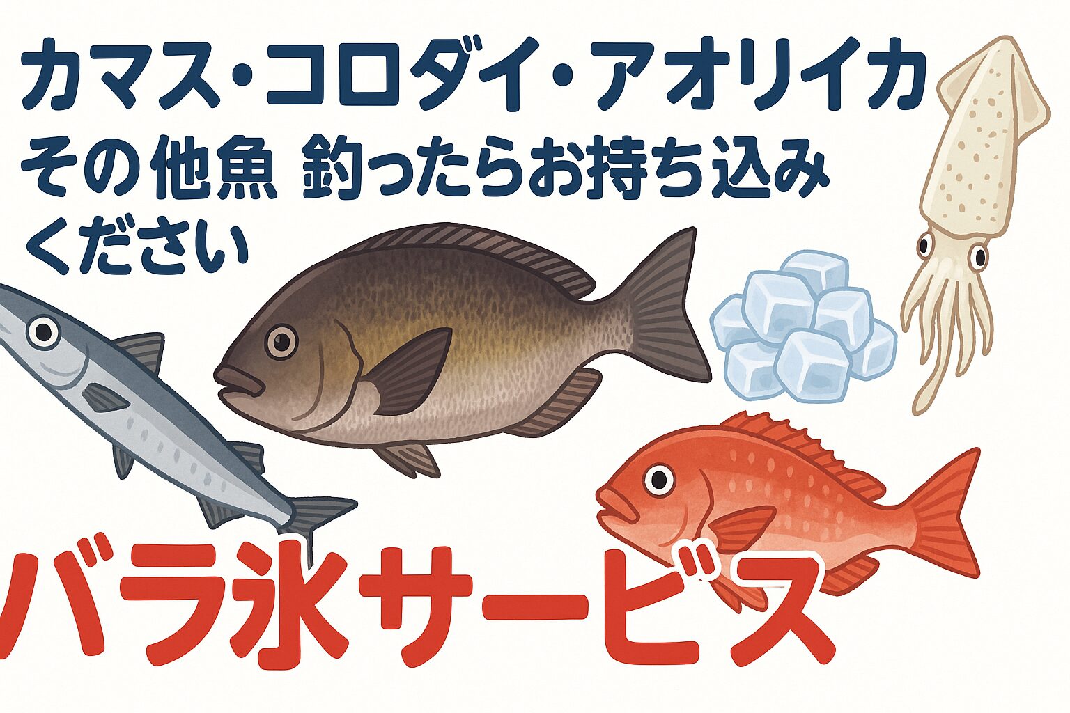 釣太郎ではカマス・コロダイ・アオリイカなど釣った魚をお持ち込みいただくとバラ氷を無料サービス。