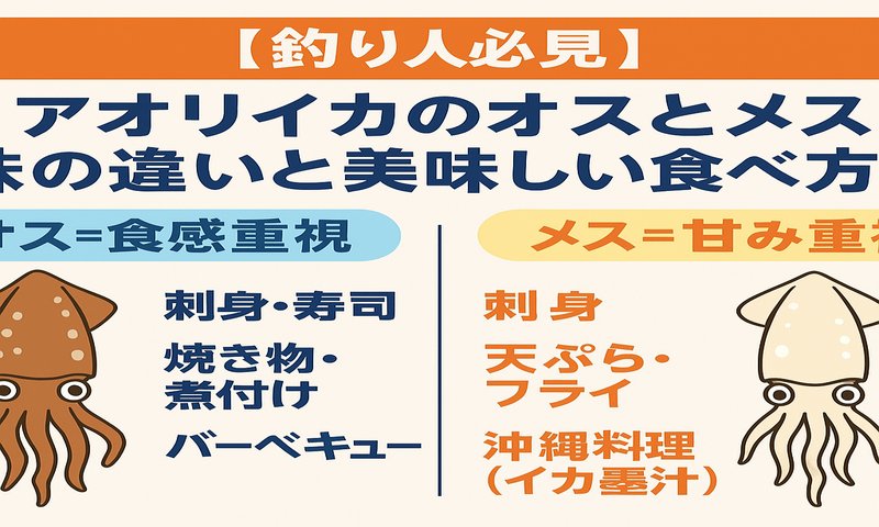 アオリイカは オス=食感、メス=甘み の違いがある。釣太郎