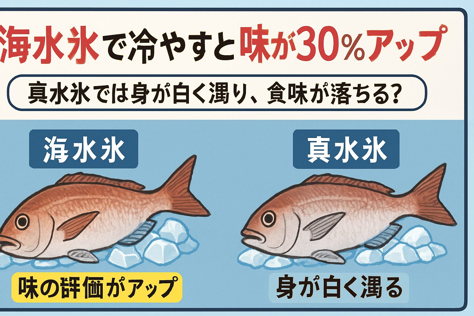 海水氷で冷やすと味が30％アップ！釣り人必見の鮮度革命。釣太郎