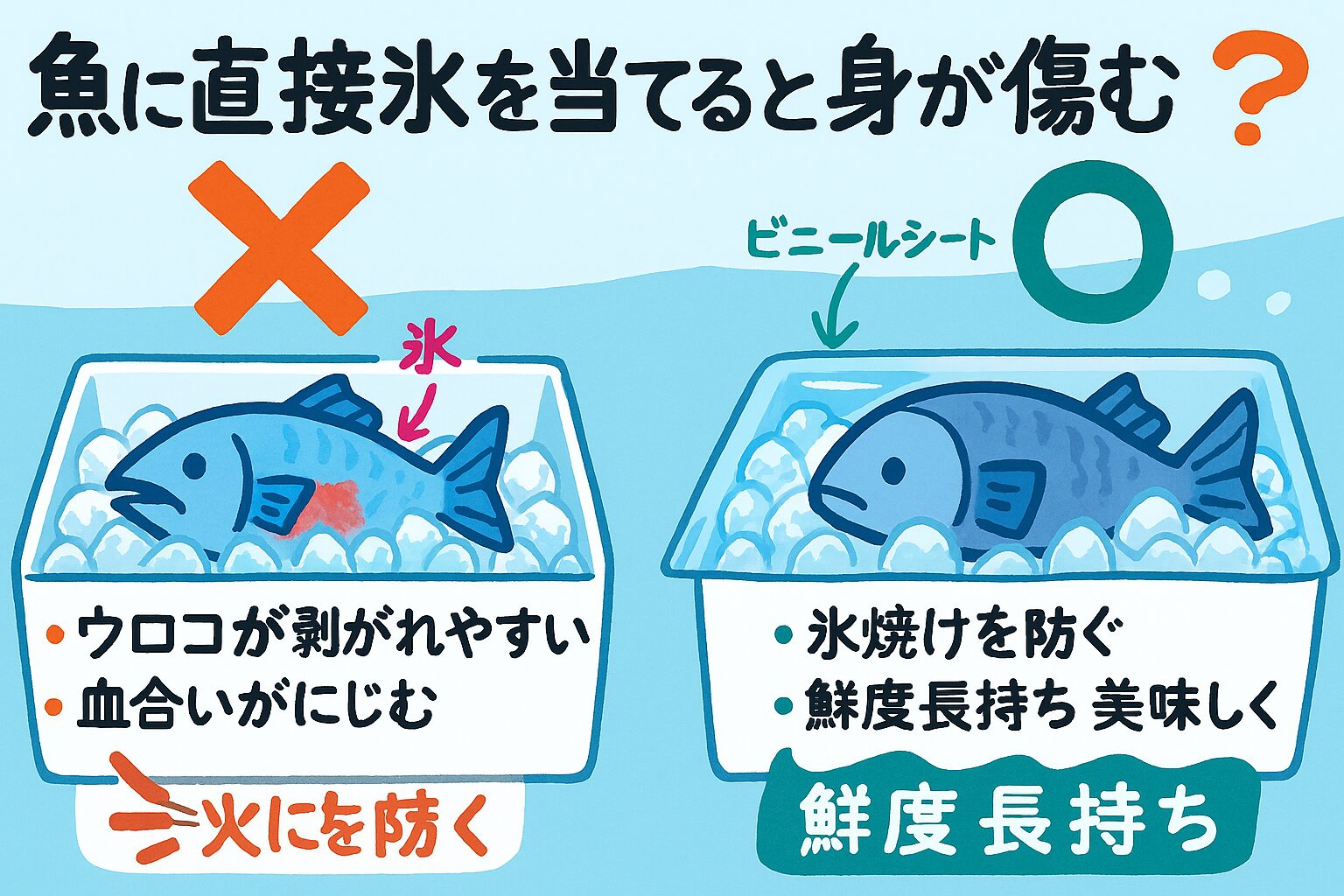 ビニールシートで魚を覆ってから氷を乗せることで、 氷焼けや物理的ダメージを防ぎ、鮮度と見た目を長時間キープできます。釣太郎