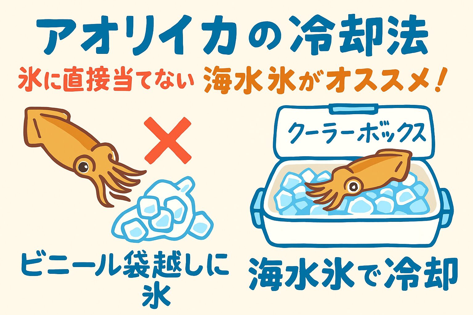 アオリイカを美味しく食べるための冷却法|海水氷が鍵!釣太郎