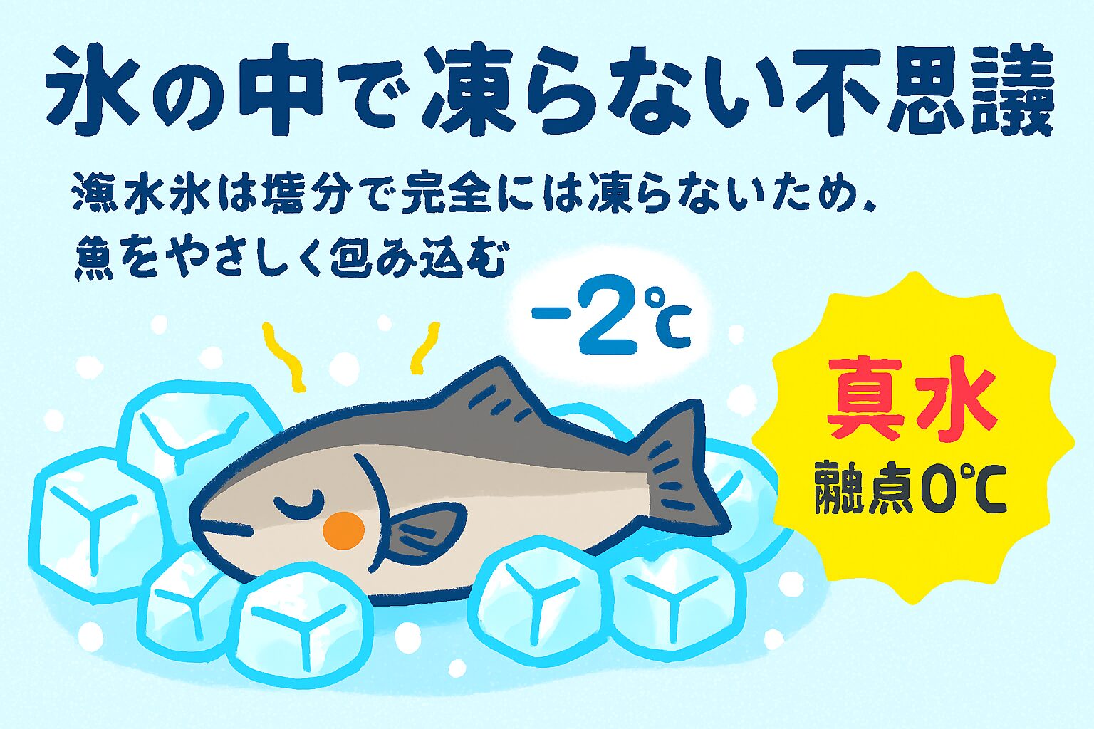 釣太郎で販売中！1キロ・3キロの海水氷 釣行前にクーラーボックスへ入れるだけで、店売りレベルの鮮度を実現。釣り人間で大ブレイク中！