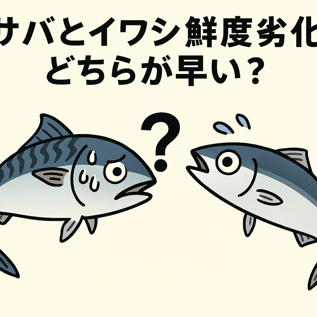 サバとイワシの鮮度劣化:どちらが早い?釣太郎
