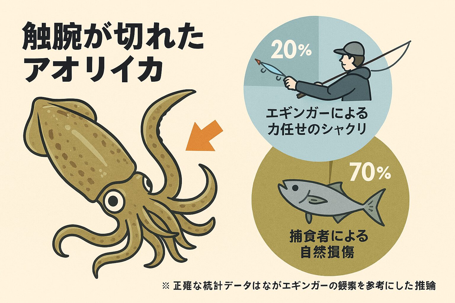 触腕が切れたアオリイカはなぜ釣れるのか？釣太郎