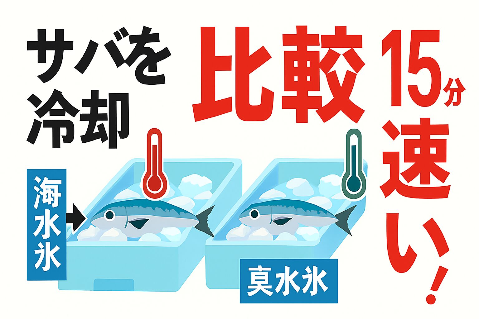 【鮮度の差は歴然】サバを冷やすなら海水氷一択！真水氷との科学的比較.釣太郎