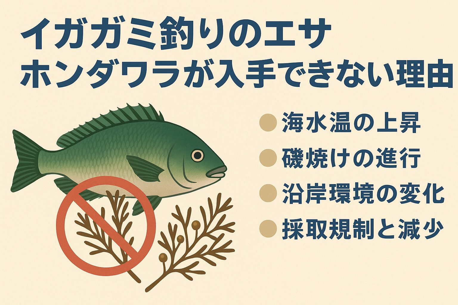 イガミ釣りの必須エサ「ホンダワラ」が消えた理由｜入手困難の背景と代替策.釣太郎