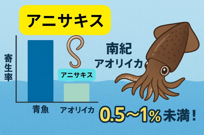 南紀地方のアオリイカにアニサキスが少ないのは「消化器構造・食性・黒潮環境」の3要因が大きい。AIの推定では南紀アオリイカの寄生率は0.5〜1％未満。釣太郎