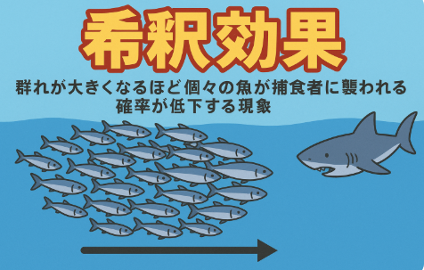 希釈効果は魚が群れを作る最大の生存戦略。群れが大きいほど個体の捕食リスクが劇的に下がる。釣太郎