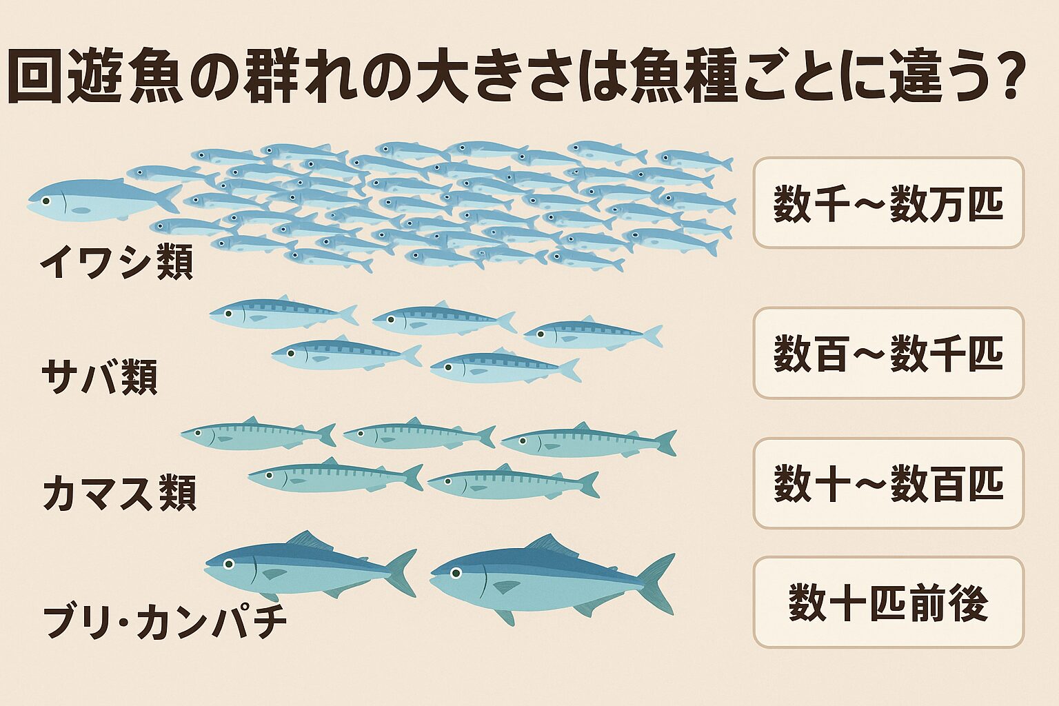 回遊魚の群れの大きさは魚種ごとに大きく異なります。・イワシは数万匹の超大群・サバは数千匹規模・カマスは数十〜数百匹・ブリやカンパチは数十匹程度。釣太郎