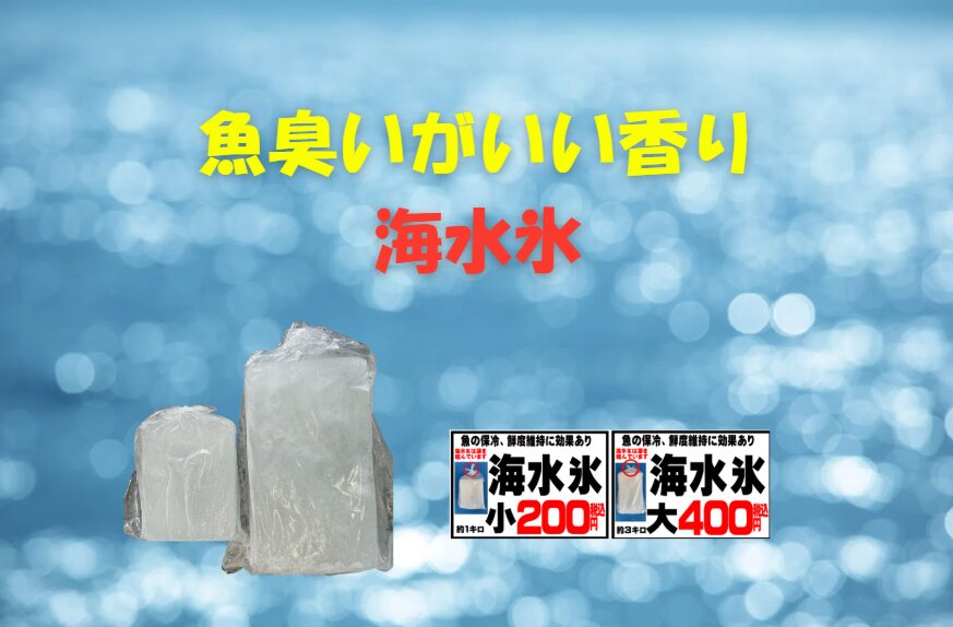 海水氷で冷却すれば、臭い匂い（生臭さ）」が「魚本来の香り」に変化します。釣太郎