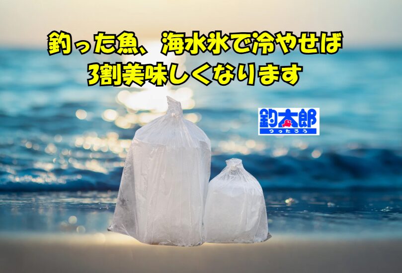 釣った魚を最高に美味しくするなら海水氷で冷却!地元海水を凍らせた釣太郎の海水氷がリピート率99%を誇る理由。釣太郎