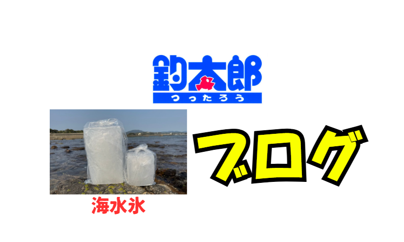 釣太郎といえば海水を凍らせた海水氷と、大容量のブログが代名詞。