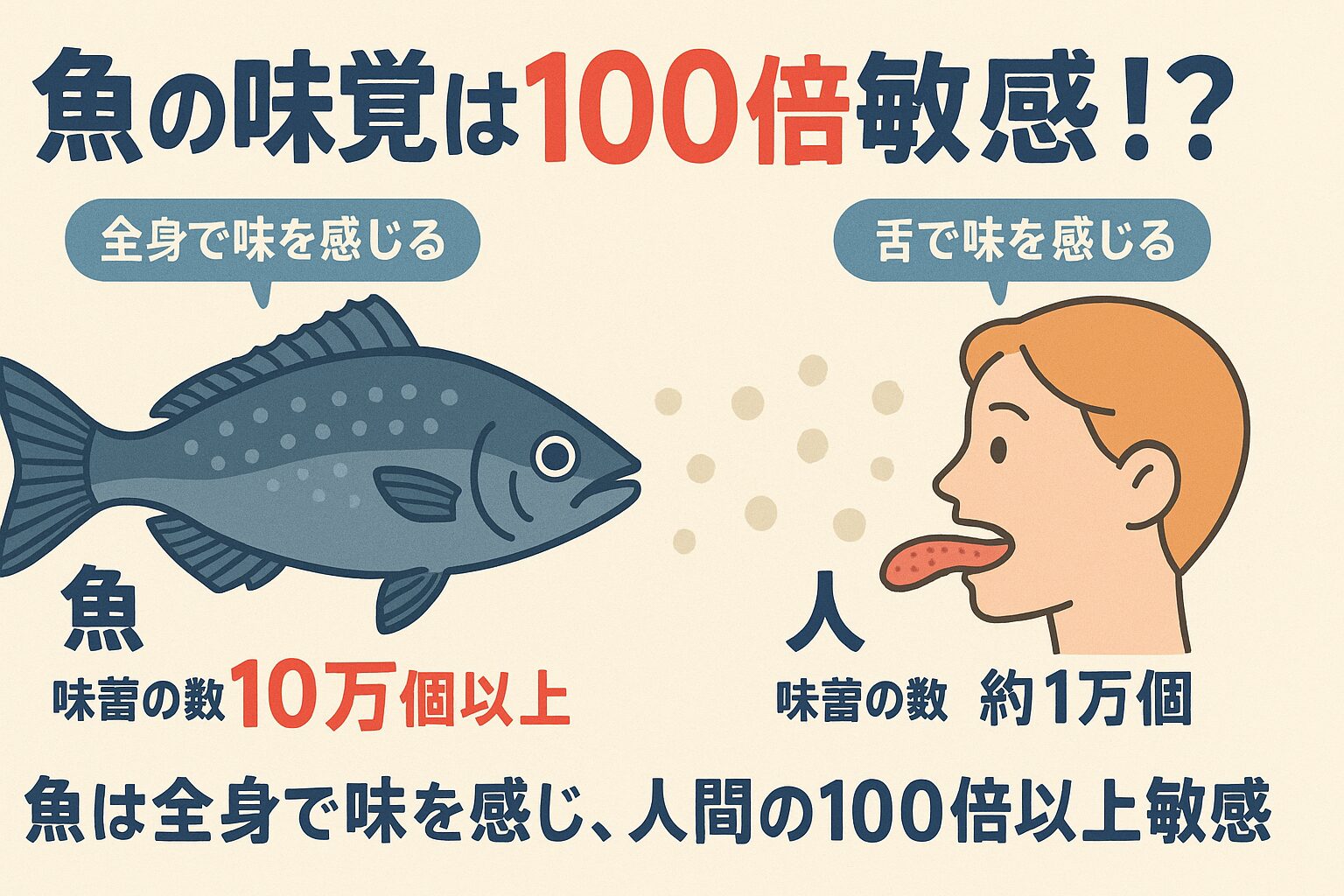 魚の味覚は人間の100倍以上敏感で、全身で「味」を感じています。釣太郎