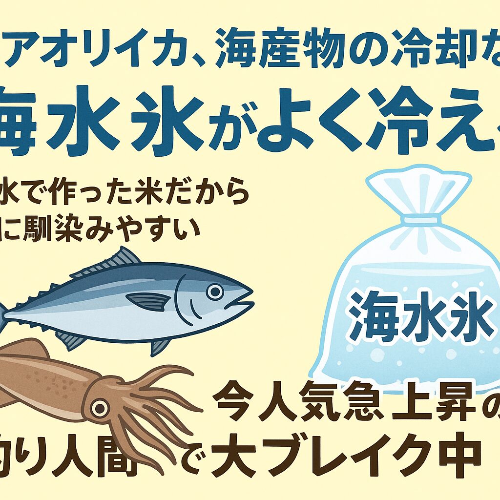 魚・アオリイカの鮮度を守るなら海水氷が圧倒的に有利 ・真水氷よりも冷却力が高く、身へのダメージが少ない。釣太郎