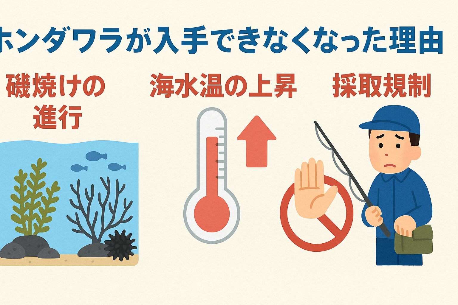 イガミ釣りエサのホンダワラは、磯焼け・海水温上昇・採取規制が重なり減少中。釣太郎