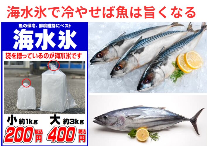 真水氷から海水氷に変えるだけで、魚は旨くなる。釣太郎
