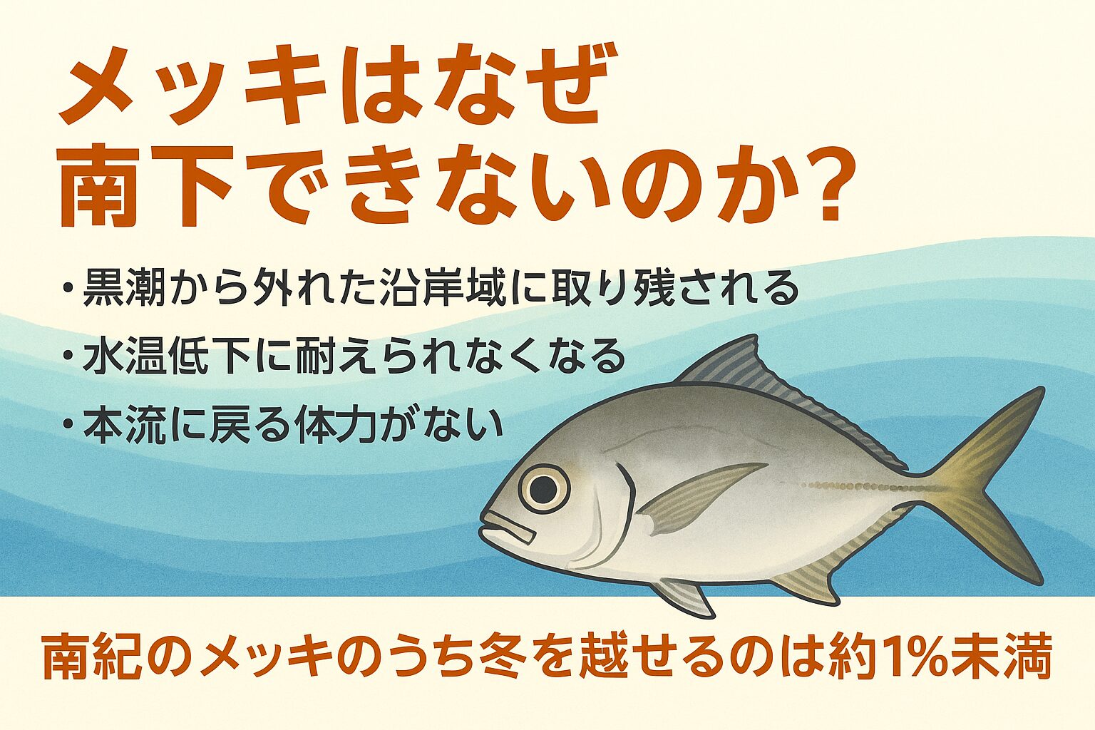 メッキ、南紀に到達した個体の95％以上が冬に死滅し、翌春まで生き残れるのはわずか1％未満。釣太郎
