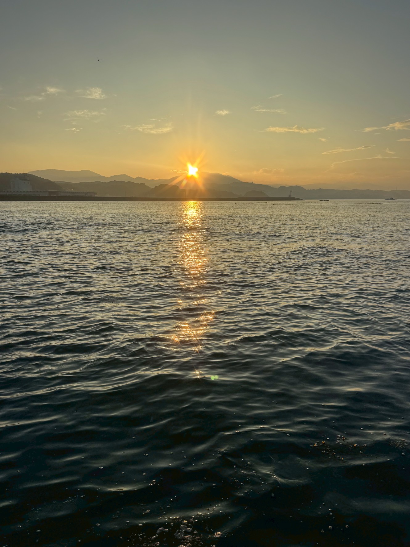 朝夕ちょっとだけ暑さも和らぎ、釣り人の姿が増えてきました。釣太郎