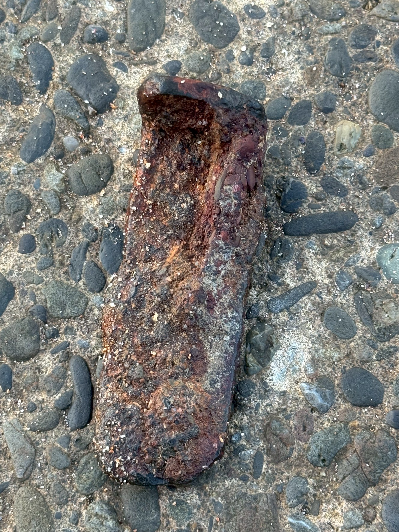 写真のように全体が赤錆で覆われ、形が大きく崩れている場合、少なくとも数年〜数十年は海に浸かっていた可能性があります。釣太郎