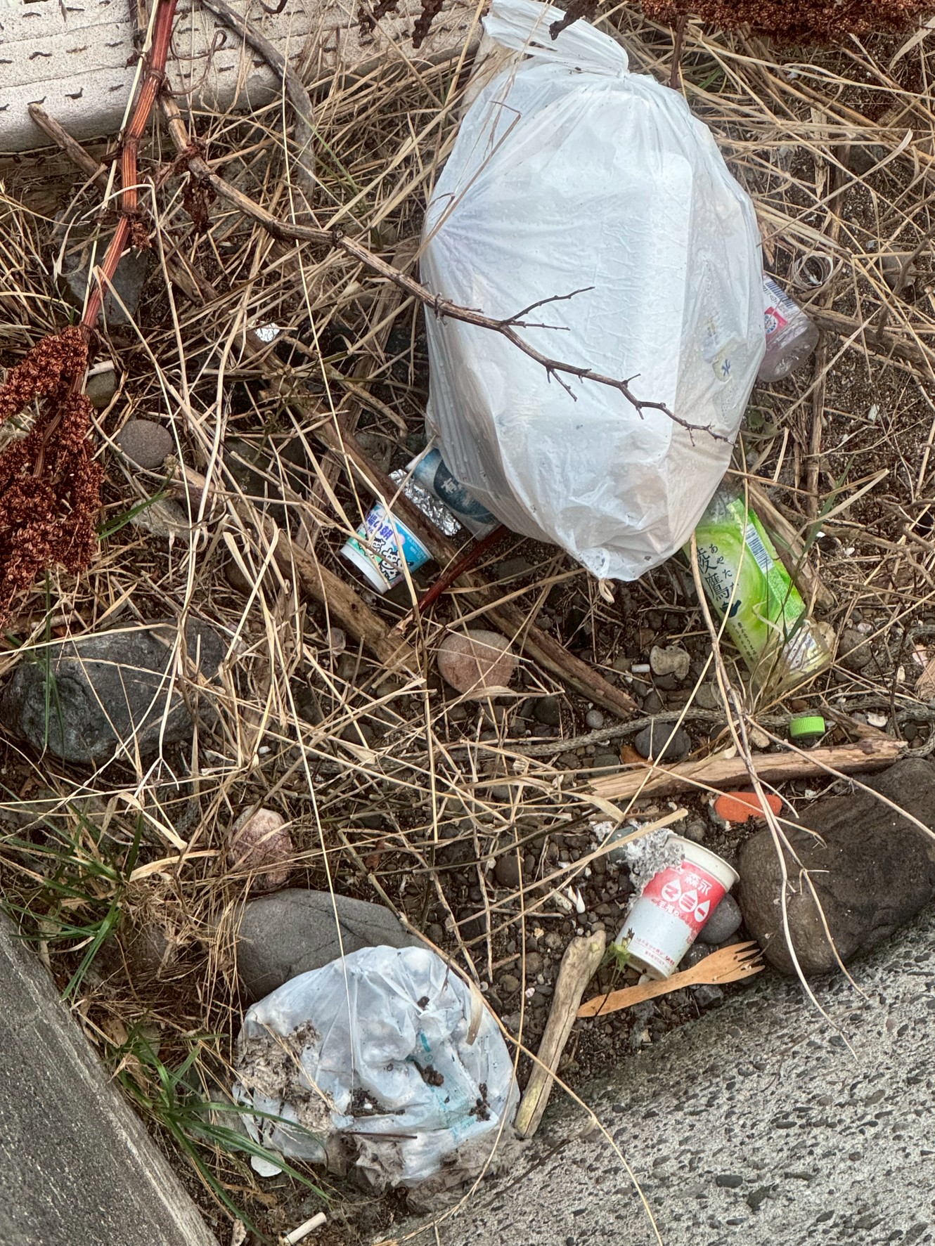 【AIが分析】どんな人が海にごみを捨てる？責任感、知性、性格から見える共通点。釣太郎